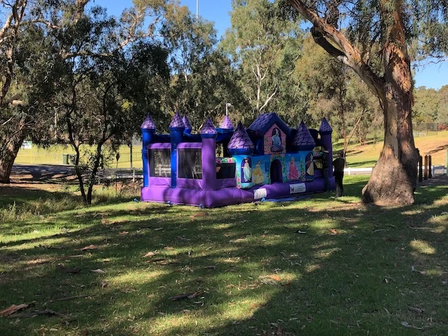 Princess Palace inflatable castle set up in a park