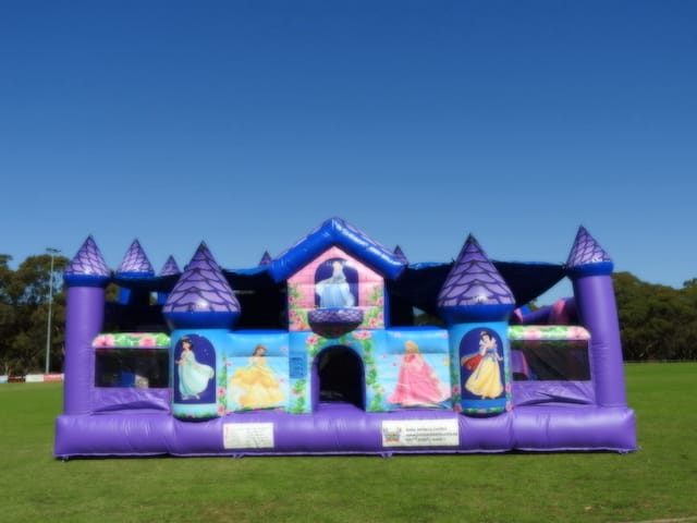 The princess palace inflatable castle