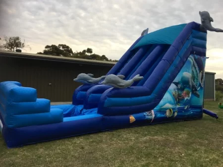 water slide with a pool