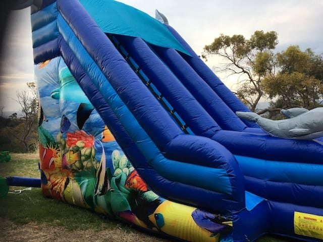 Inflatable Waterslide hire Adelaide dolphin water slide side wall picture