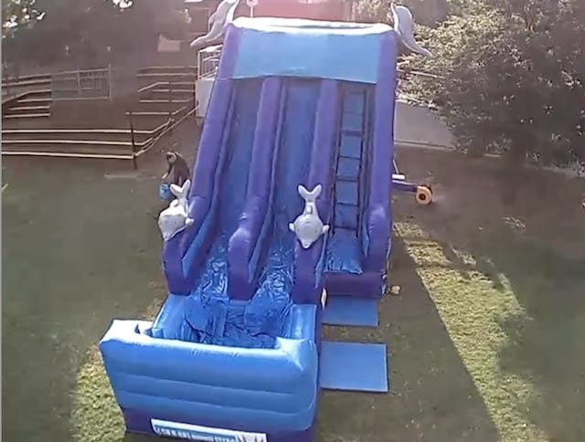 Inflatable Water slide hire Adelaide